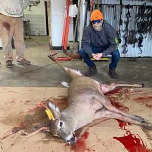 Meet your Posher, Alexander